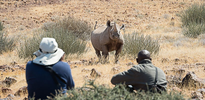 Desert Rhino Camp with Wilderness Safaris - www.PhotoSafaris.travel