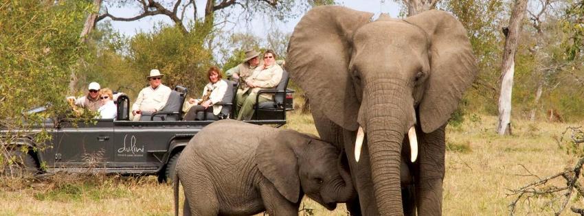 Dulini Leadwood Lodge Game  Drive - www.PhotoSafaris.travel