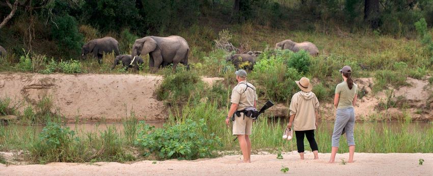 Dulini River Lodge Walk - www.PhotoSafaris.travel