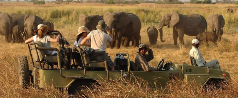 Elephant Valley Lodge, Chobe - www.PhotoSafaris.travel