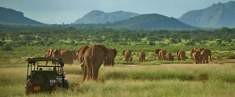 Elephant Watch Camp (Samburu / Shaba Game Reserve) Kenya - www.PhotoSafaris.travel