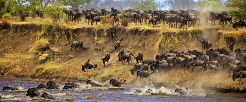 Entim Mara Safari Camp (Masai Mara) Kenya - www.PhotoSafaris.travel