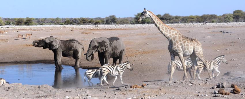 The Fort at Fishers Pan, Etosha, Namibia - www.PhotoSafaris.travel