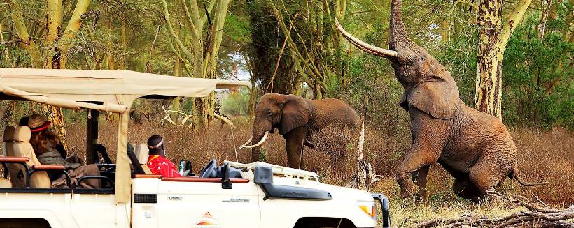 Finch Hatton's Camp (Tsavo West National Park) Kenya - www.PhotoSafaris.travel