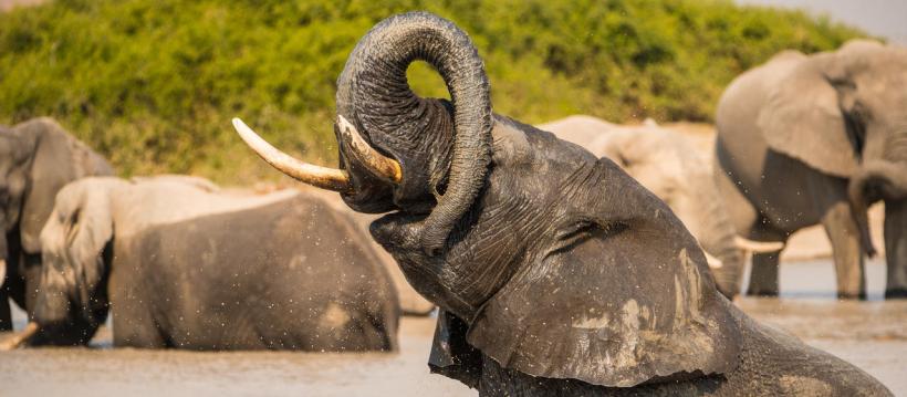 Ghoha Hills Savuti Lodge (Chobe National Park) Botswana - www.PhotoSafaris.travel