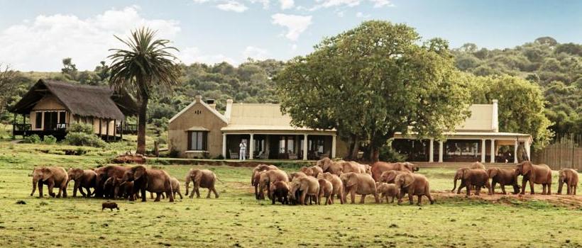 Gorah Elephant Camp, Addo National Park, South Africa - www.PhotoSafaris.travel