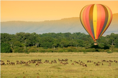 Customized Safaris in East Africa - www.PhotoSafaris.travel