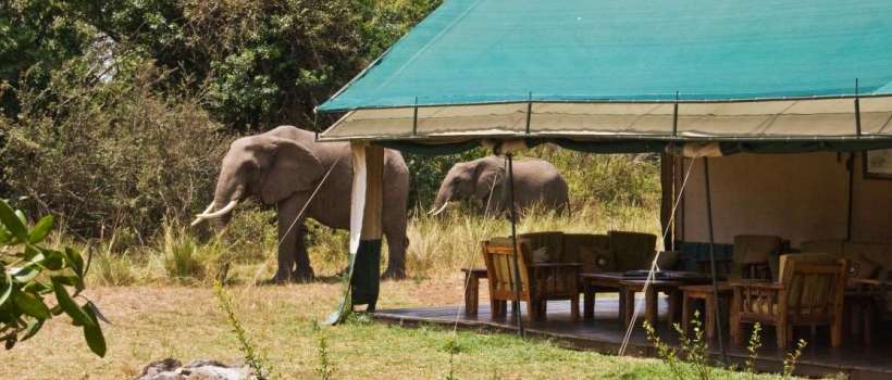 Governors' Private Camp, Masai Mara - www.PhotoSafaris.travel