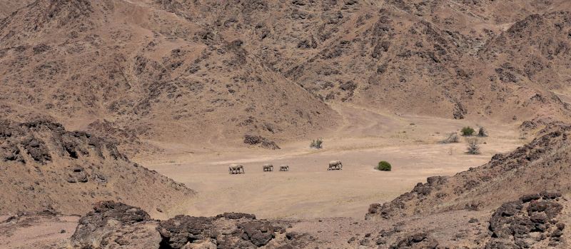 Hoanib Valley Camp (Skeleton Coast Park) Namibia - www.PhotoSafaris.travel