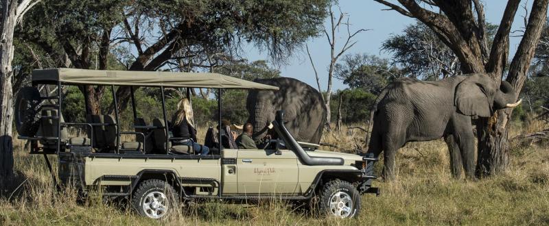 The Hidden Migration in Botswana Safari (7 Days) - www.PhotoSafaris.travel