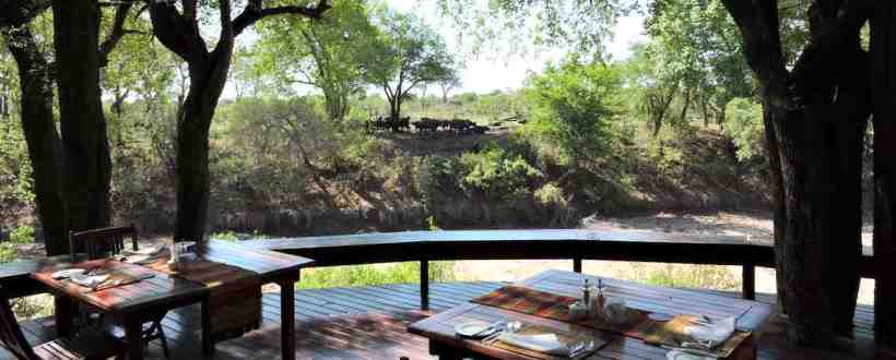 Imbali Safari Lodge (Northern Kruger National Park, Limpopo Province) South Africa - www.PhotoSafaris.travel