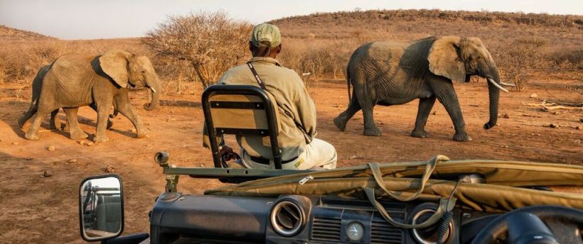 Impodimo Game Lodge (Madikwe Game Reserve) South Africa - www.PhotoSafaris.travel