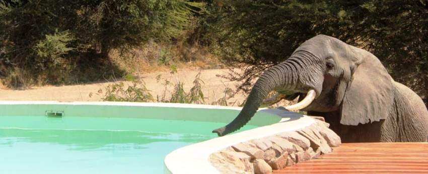 Jongomero Camp (Ruaha National Park) Tanzania - www.PhotoSafaris.travel