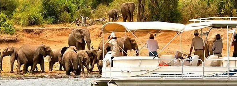 Ultimate Uganda Safari (12 Days) - www.Photosafaris.travel