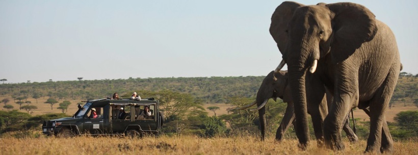 Kicheche Mara Camp (Masai Mara) Kenya - www.PhotoSafaris.travel