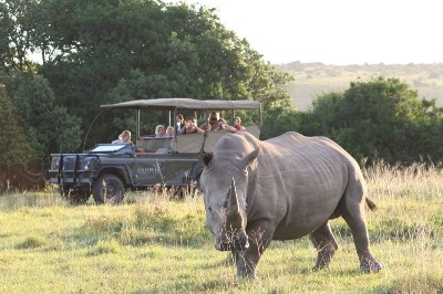 Game drive at Lalibela Game Reserve (Eastern Cape) South Africa - www.PhotoSafaris.travel