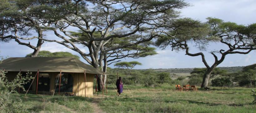 Lemala Ndutu Camp (Serengeti National Park) Tanzania -  www.PhotoSafaris.travel