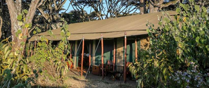 Lemala Ngorongoro Camp (Ngorongoro Conservation Area) Tanzania - www.PhotoSafaris.travel