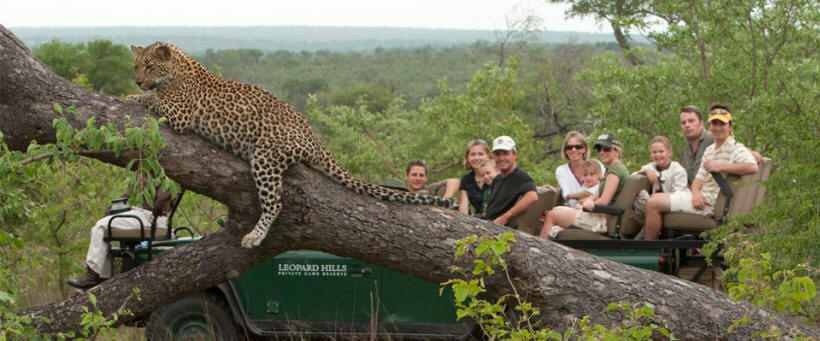 Leopard Hills Lodge - www.PhotoSafaris.travel