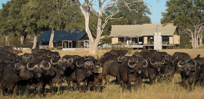 Linkwasha Camp (Hwange Game Reserve) Zimbabwe - www.PhotoSafaris.travel