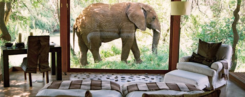 Makanyane Safari Lodge (Madikwe Game Reserve) South Africa - www.PhotoSafaris.travel