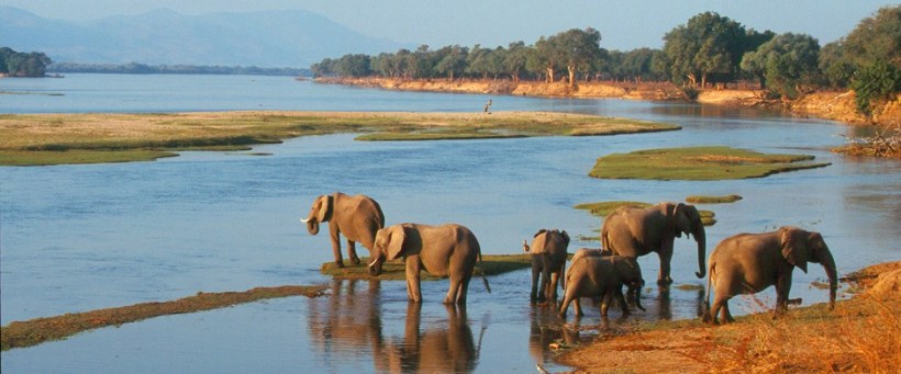 Chikwenya Safari Lodge, Mana Pools - www.PhotoSafaris.travel