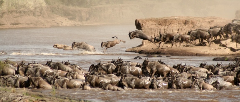 Mara Intrepids Camp (Masai Mara) Kenya - www.PhotoSafaris.travel