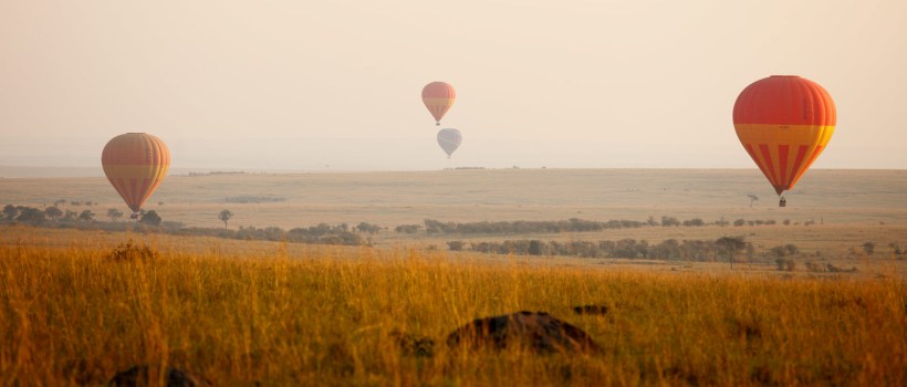 Mara Bushtops (Masai Mara) Kenya - www.PhotoSafaris.travel