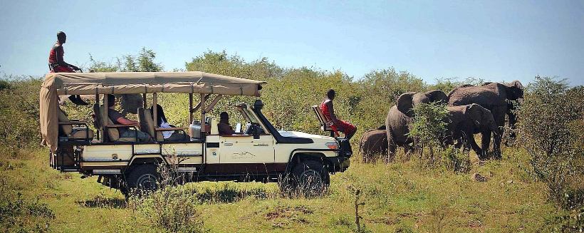 Mara Bushtops (Masai Mara) Kenya - www.PhotoSafaris.travel