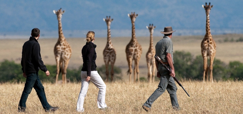 Mara Plains Camp (Olare Orok Conservancy - North of the Masai Mara Game Reserve) Kenya - www.PhotoSafaris.travel