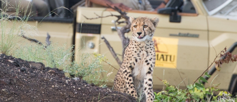 Mashatu Main Camp (Tuli Game Reserve) Botswana - www.PhotoSafaris.travel