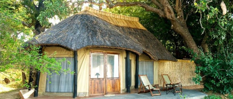 Mchenja Bush Camp (South Luangwa National Park) Zambia - www.PhotoSafaris.travel