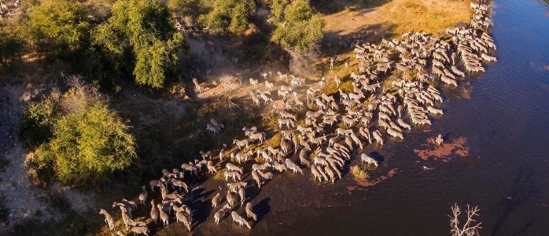 Two Sides of Botswana Safari (7 Days) - www.PhotoSafaris.travel