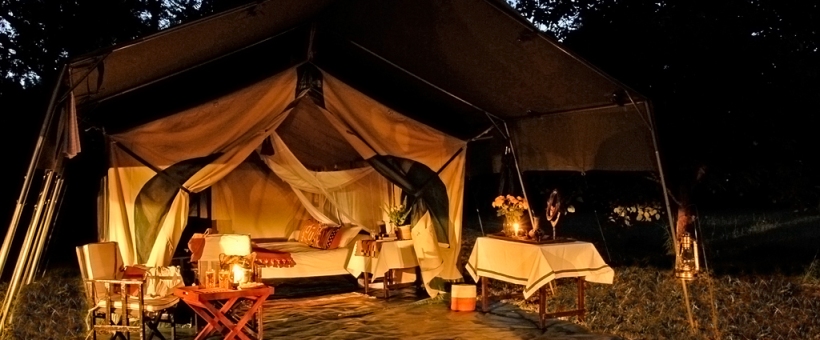 The Junior Ranger Safari in Tanzania (8 Days) - www.Safaris101.com