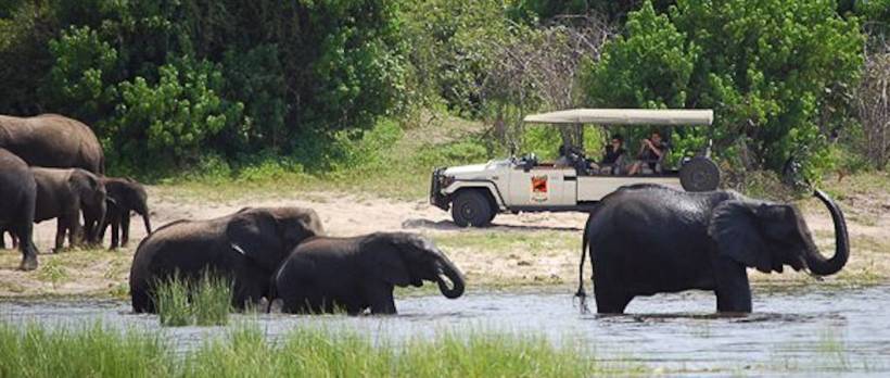 Muchenje Safari Lodge (Chobe National Park) Botswana - www.PhotoSafaris.travel