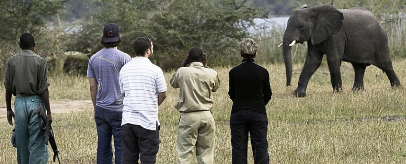 Mvuu Wilderness Lodge (Liwonde National Park) Malawi - www.PhotoSafaris.travel