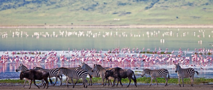 The Simba Safari  - Tanzania (7 Days) -  www.Photosafaris.travel