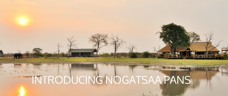 Nogatsaa Pans Lodge Lodge (Chobe National Park) Botswana - www.PhotoSafaris.travel