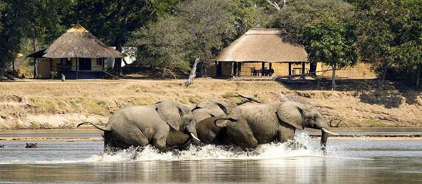 Nsefu Camp (South Luangwa National Park) Zambia - www.PhotoSafaris.travel