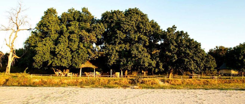 Nsolo Bush Camp (South Luangwa National Park) Zambia - www.PhotoSafaris.travel