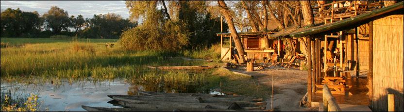 Oddballs
 Camp (Okavango Delta) Botswana - www.PhotoSafaris.travel