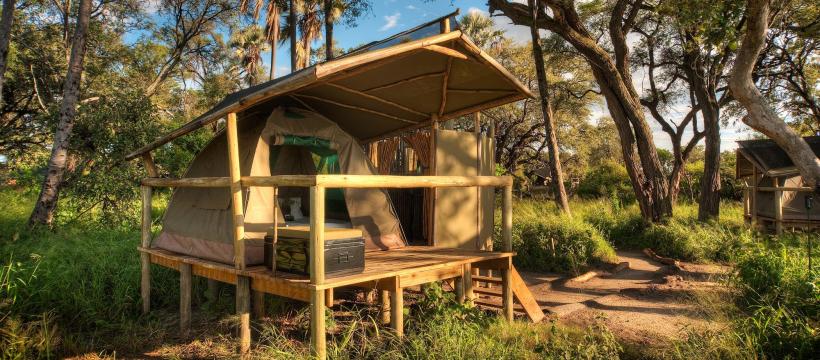 Oddballs
 Camp (Okavango Delta) Botswana - www.PhotoSafaris.travel