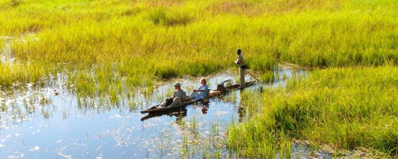 Oddballs
 Camp (Okavango Delta) Botswana - www.PhotoSafaris.travel