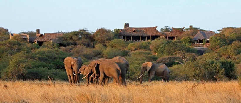 The Superior Choice Safari - Kenya (10 Days) - www.PhotoSafaris.travel