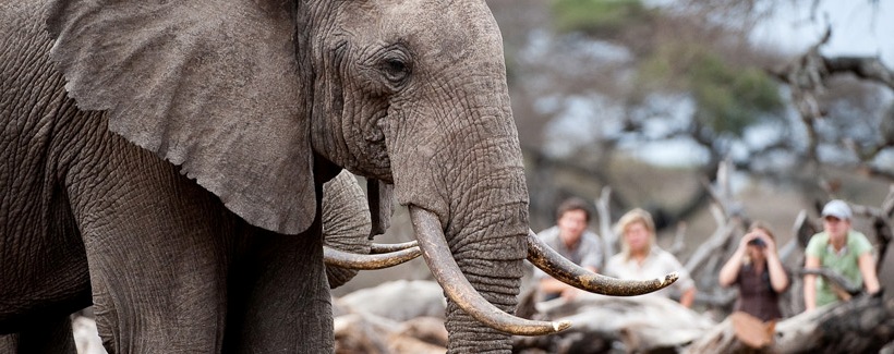 Ol Donyo Lodge (Amboseli National Park / Chyulu Hills Region) Kenya - www.PhotoSafaris.travel