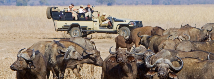 Old Mondoro Camp - www.PhotoSafaris.travel