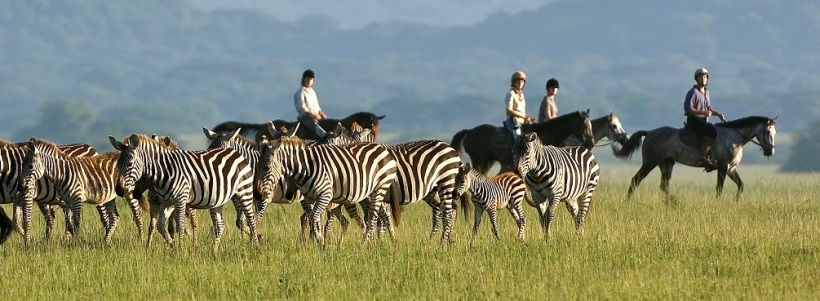 Ol Donyo Lodge (Amboseli National Park / Chyulu Hills Region) Kenya - www.PhotoSafaris.travel