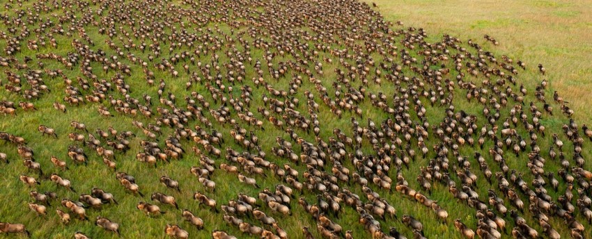 Ol Seki Mara Camp (Eastern Koyiaki Conservation Area - North of the Masai Mara) Kenya - www.PhotoSafaris.travel