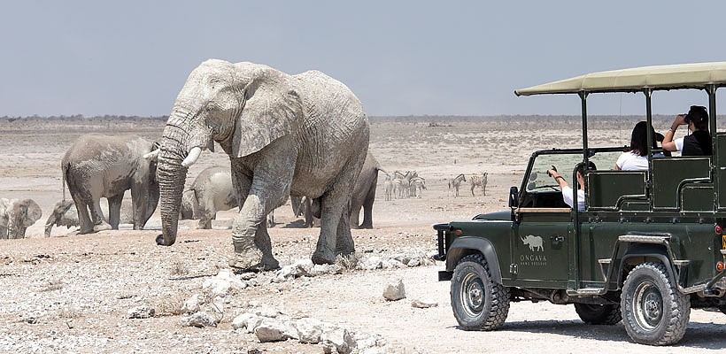 Ongava Lodge (Etosha Region) Namibia - www.PhotoSafaris.travel