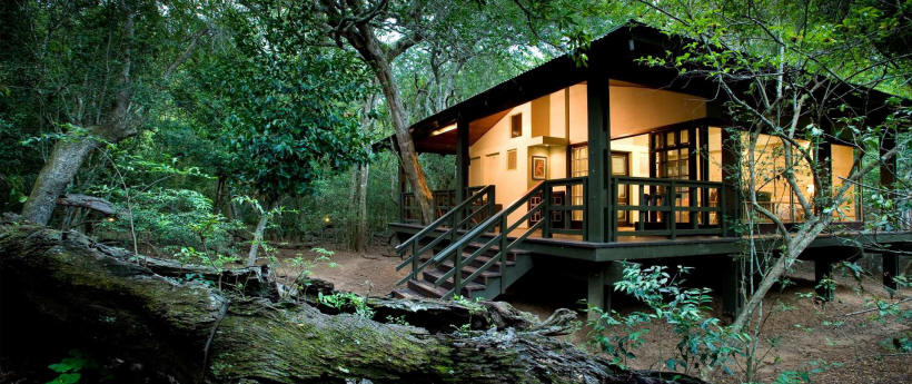 Phinda Forest Lodge (Phinda Private Reserve, KwaZulu, Natal) South Africa - www.PhotoSafaris.travel